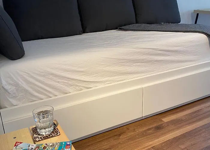 With Aircon Lejlighed Interlaken