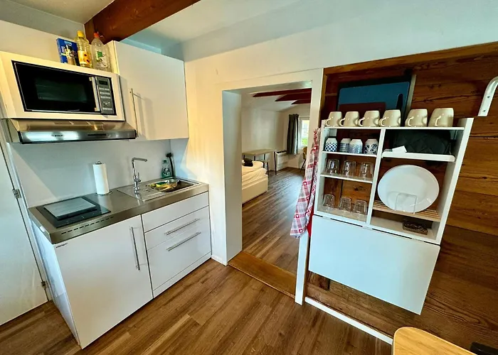 With Aircon Lejlighed Interlaken