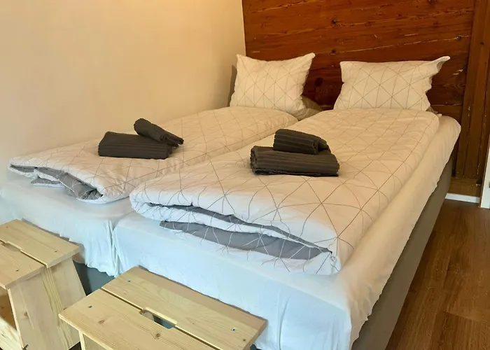 With Aircon Lejlighed Interlaken